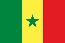 Senegal Flag icon