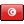 Tunisia Flag icon